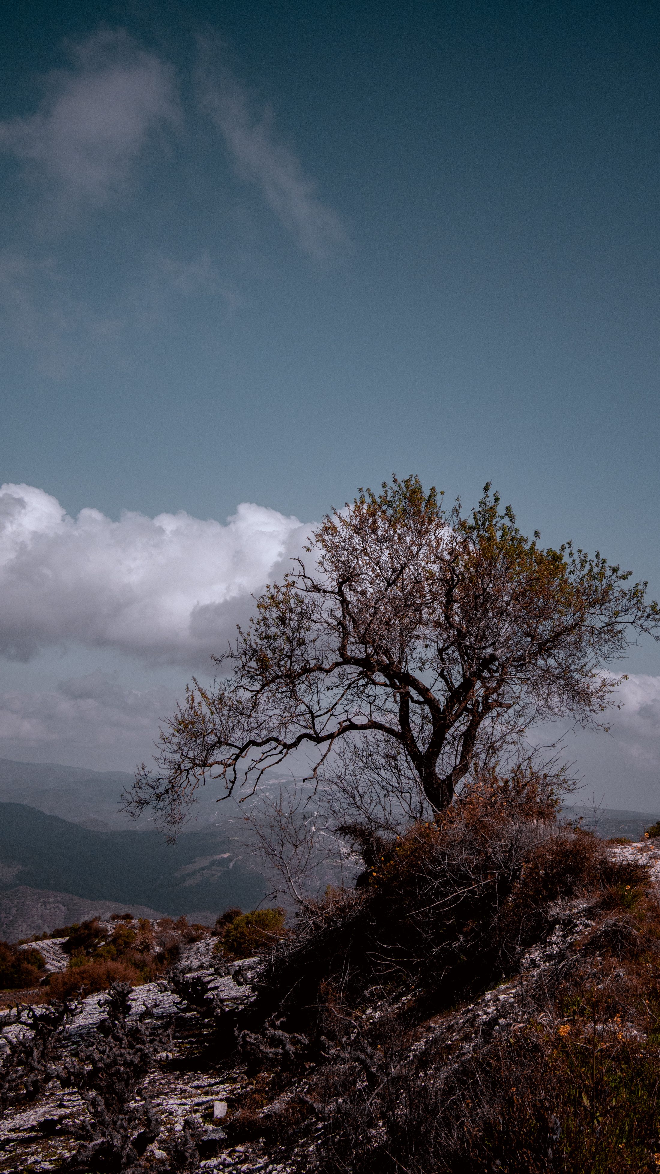 Lysos Λυσός