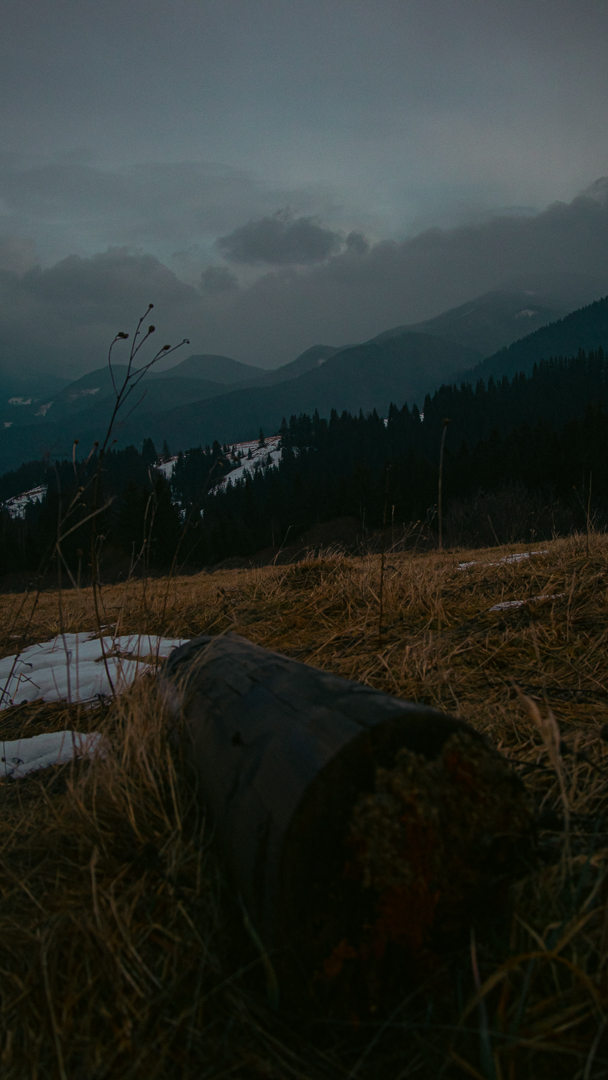 Hike to Mount Spitsy / February 2022